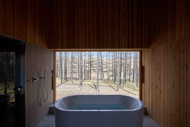 Freestanding bathtub beneath a horizontal window overlooking the sparse forest