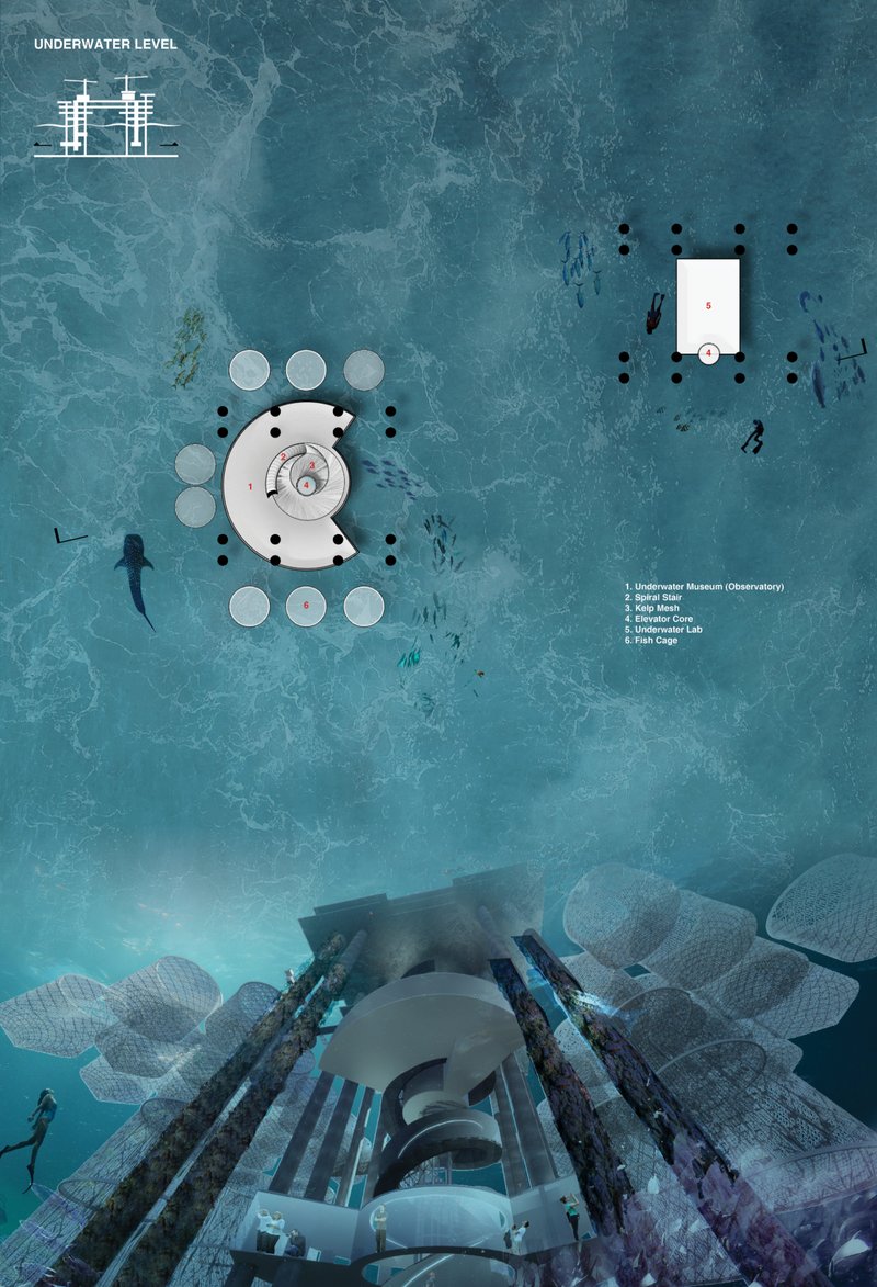 Underwater observatory spaces immerse visitors within marine ecosystems through spiraling galleries and ocean research environments.