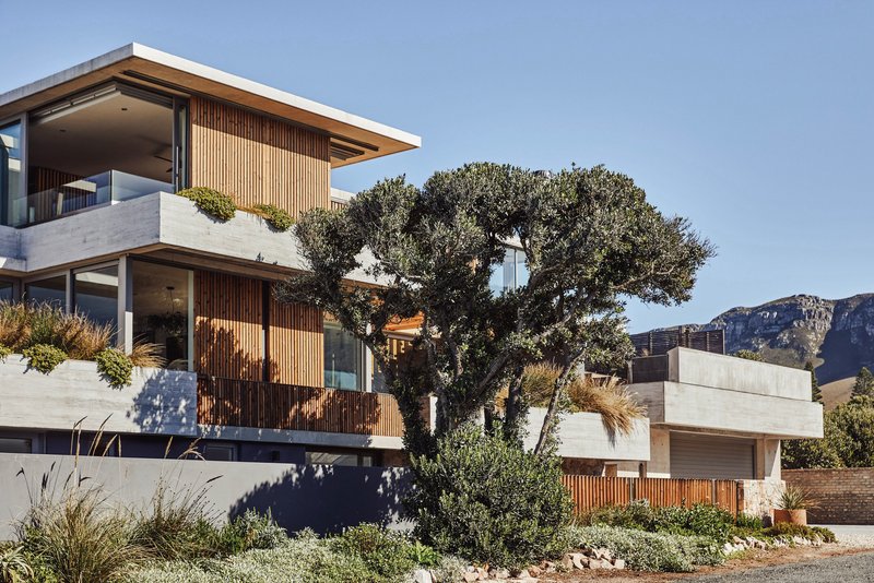 Street facade showing stacked concrete volumes with vertical timber screens framing a mature tree