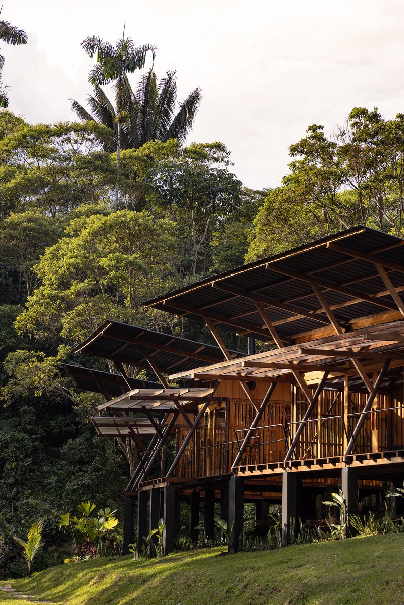 Angled roof planes supported by diagonal timber bracing above vertical bamboo facade in afternoon light