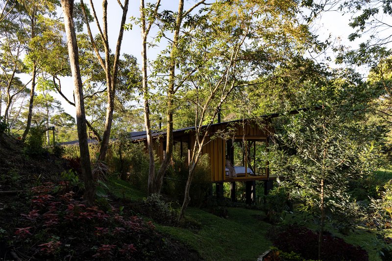 Timber-clad pavilion on stilts surrounded by sloping hillside vegetation and filtered morning sunlight