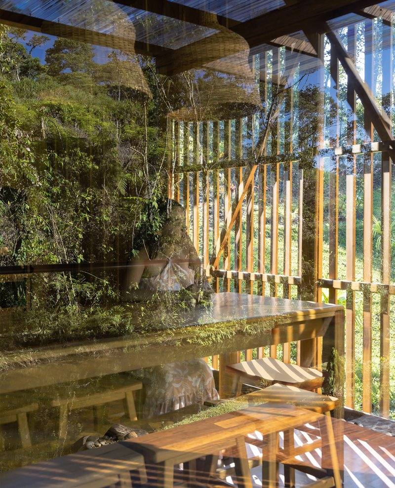 Interior view through glass walls showing timber furniture and vertical wooden screens framing the forest beyond