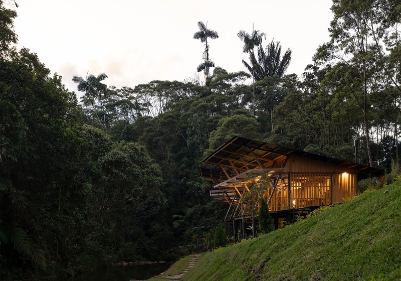 Timber structure with angled roof and latticed facade nestled into hillside among dense tropical vegetation at twilight