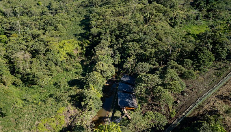 Aerial view of dark roof structure partially concealed by forest canopy beside a cleared hillside