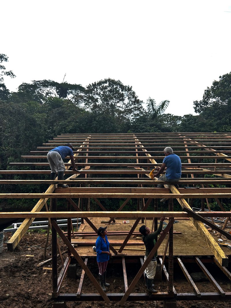Workers constructing timber roof framing with joists and purlins against a dense forest canopy