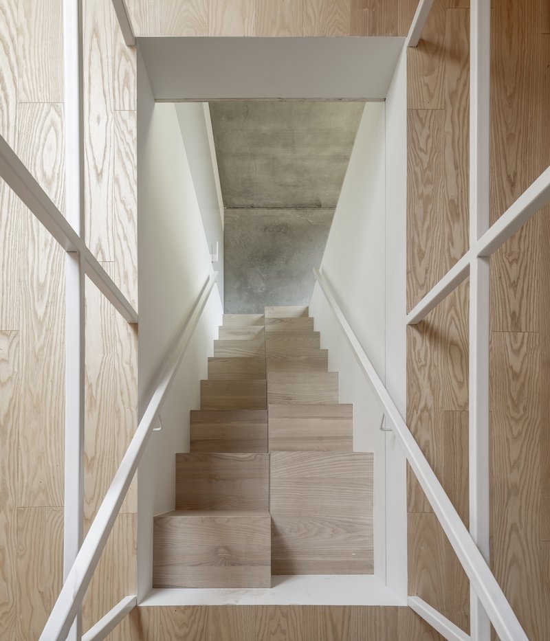 Top-down view of a timber staircase rising between light wood paneled walls and exposed concrete soffit