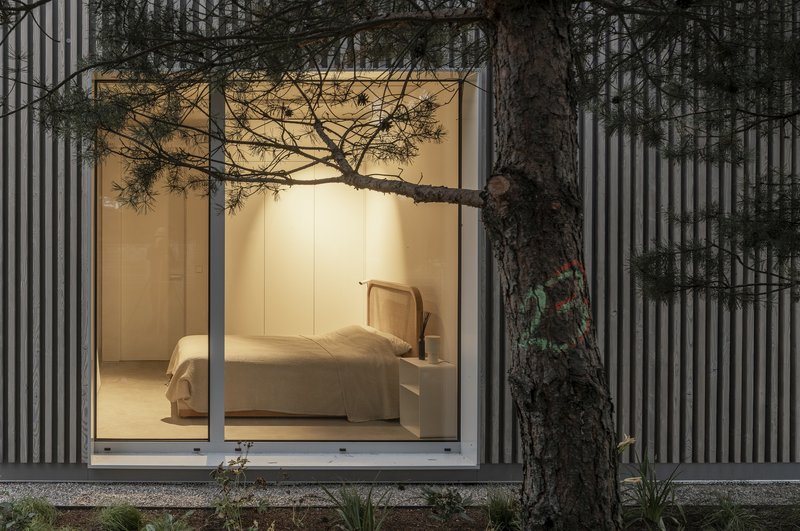Glazed bedroom opening framed by vertical timber cladding with pine tree branch at dusk