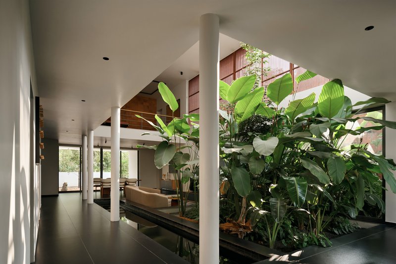 Interior planted bed with banana palms and tropical foliage surrounded by white columns and dark flooring