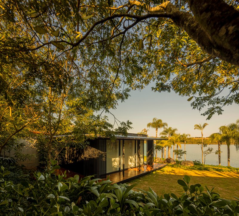 Garden view of the glass and vertical slat pavilion framed by overhanging tree branches at golden hour