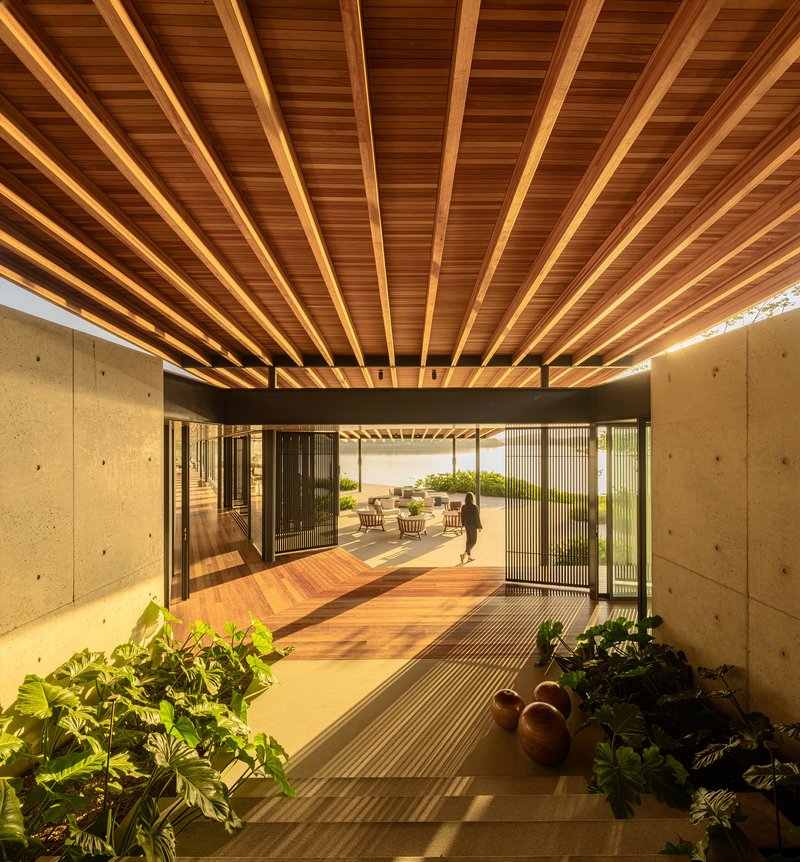 Timber ceiling over the entry corridor with concrete walls and planted beds flanking the passage