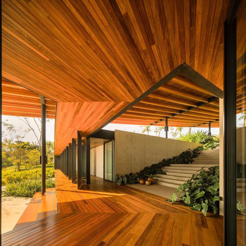 Angled timber ceiling planes converging above the deck with planted stair and concrete retaining wall