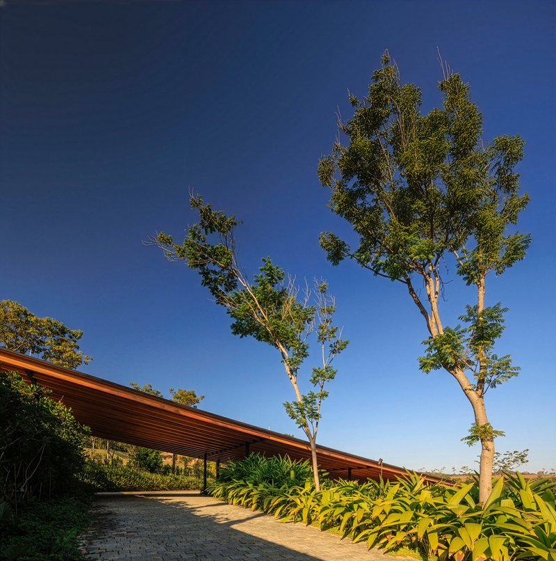Entrance drive with planted beds flanking a timber slat roof under tall eucalyptus trees and blue sky