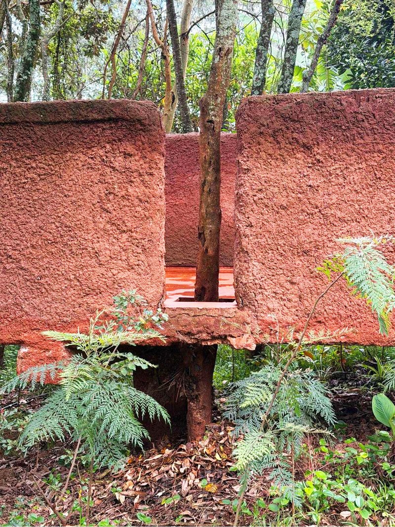 Red earth wall wrapping around a tree trunk within a forest clearing with ferns