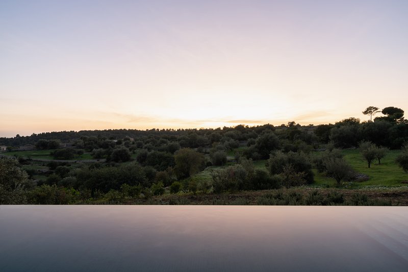 Infinity pool edge reflecting the golden light of sunset over an olive orchard