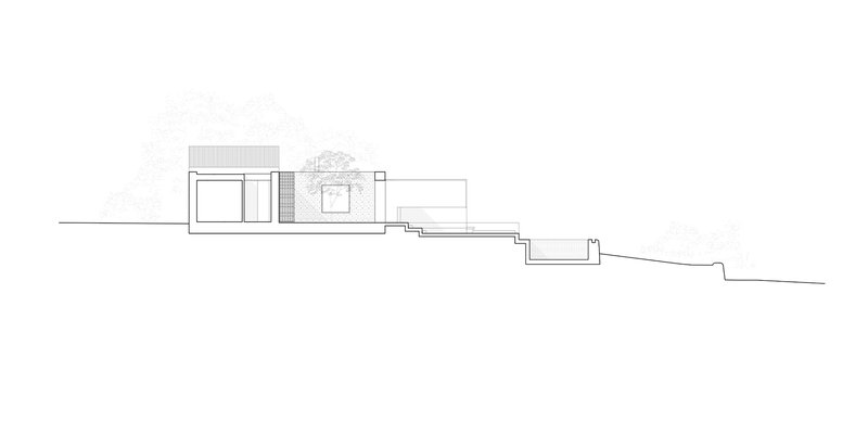 Section drawing showing interior levels stepping down the terrain with adjacent trees