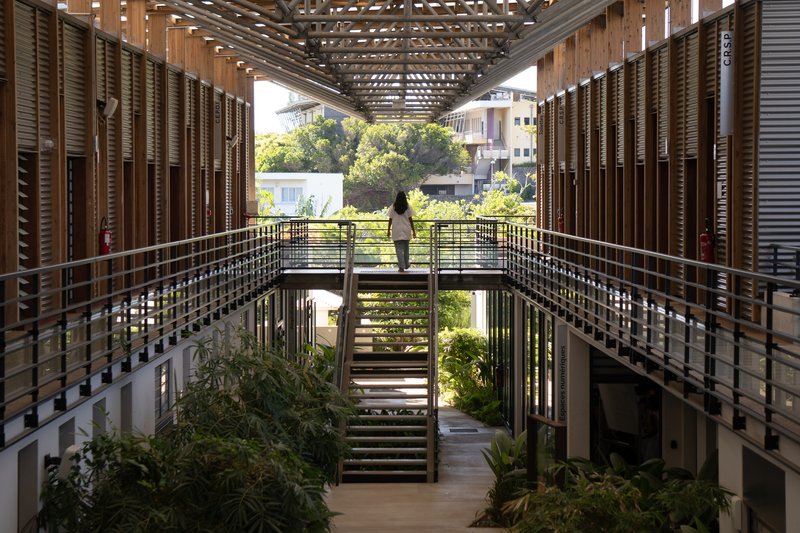Internal courtyard with timber louvered walls, steel walkway and planted ground level under an exposed truss canopy