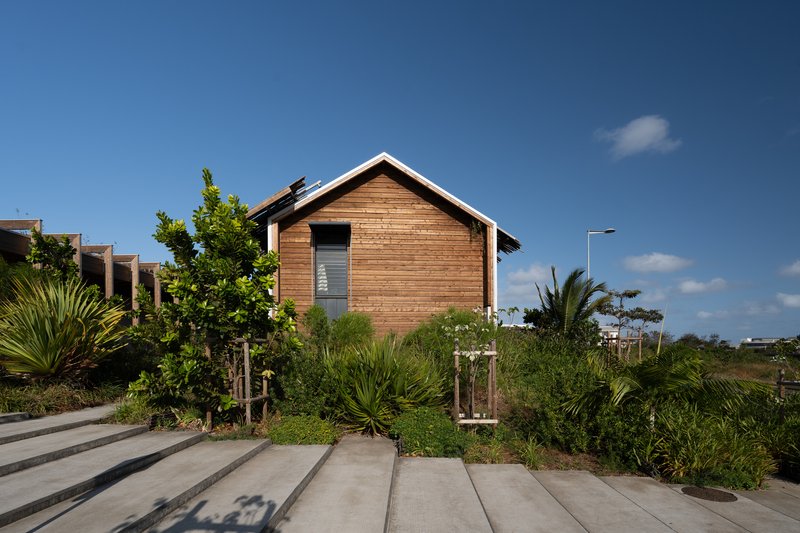 Timber-clad gabled volume set among planted beds with palms and grasses under a blue sky