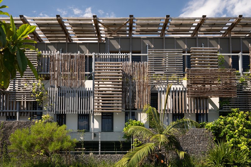 Facade with layered horizontal timber screens and rooftop pergola framed by palms under a blue sky