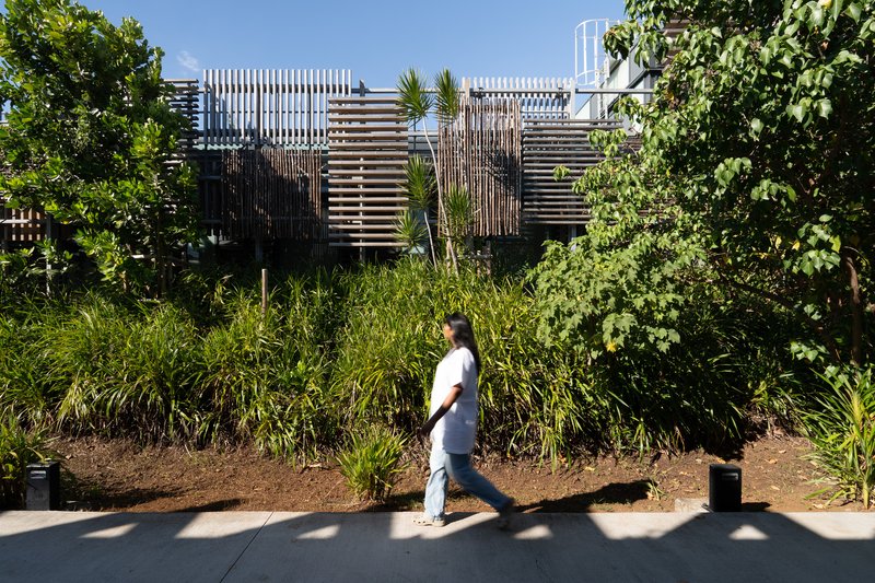 Street view of slatted timber screens above planted buffer with a figure walking past in afternoon light