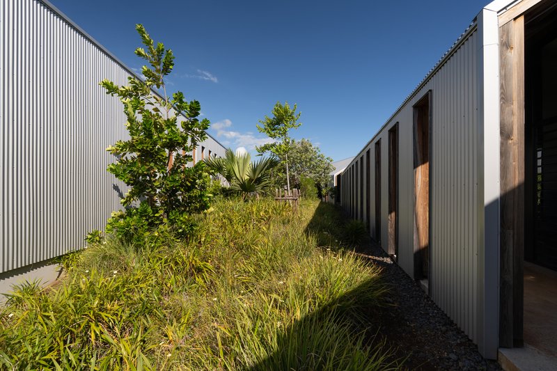 Rooftop passage with corrugated metal walls flanking planted beds of grasses and young trees