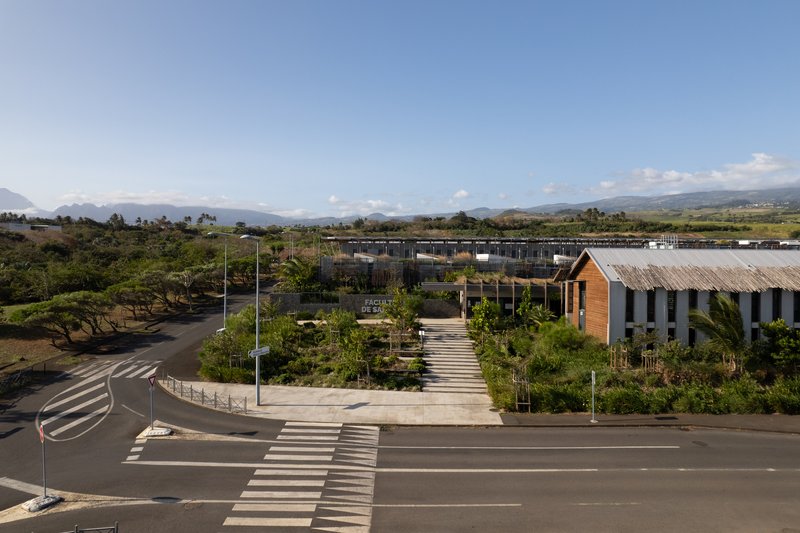 Entry view of the timber-clad pavilion and planted pedestrian pathway beneath a clear blue sky