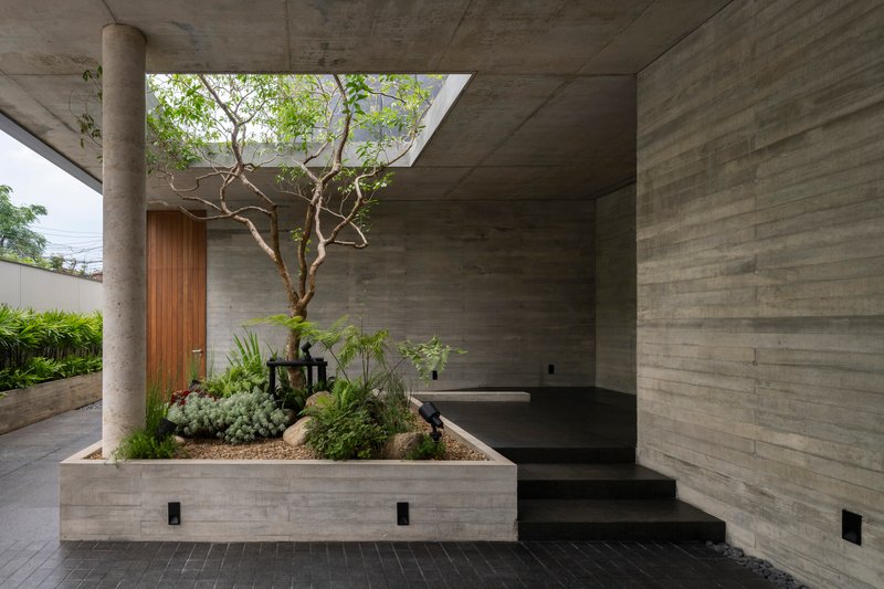 Covered entry terrace with planted bed containing a specimen tree under a concrete skylight