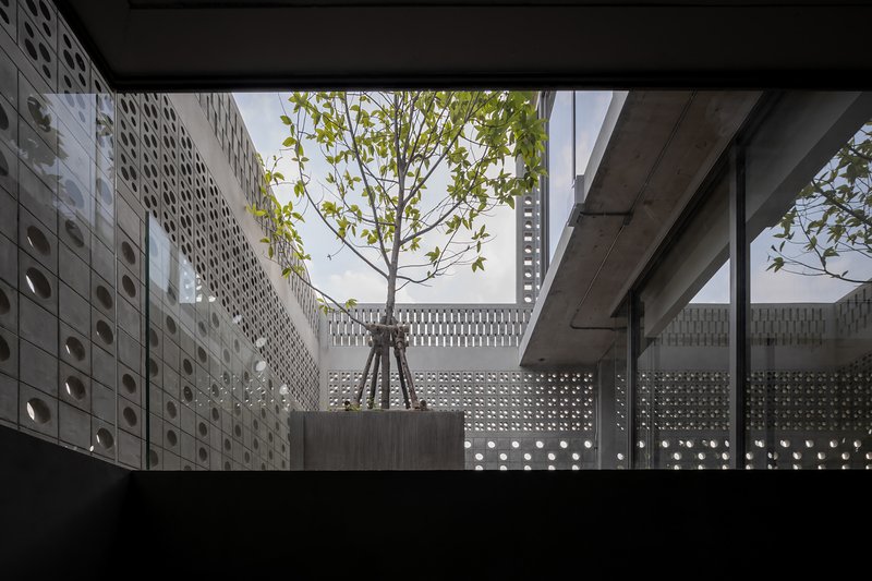 Rooftop courtyard with a single tree in a planter surrounded by perforated concrete block walls under open sky