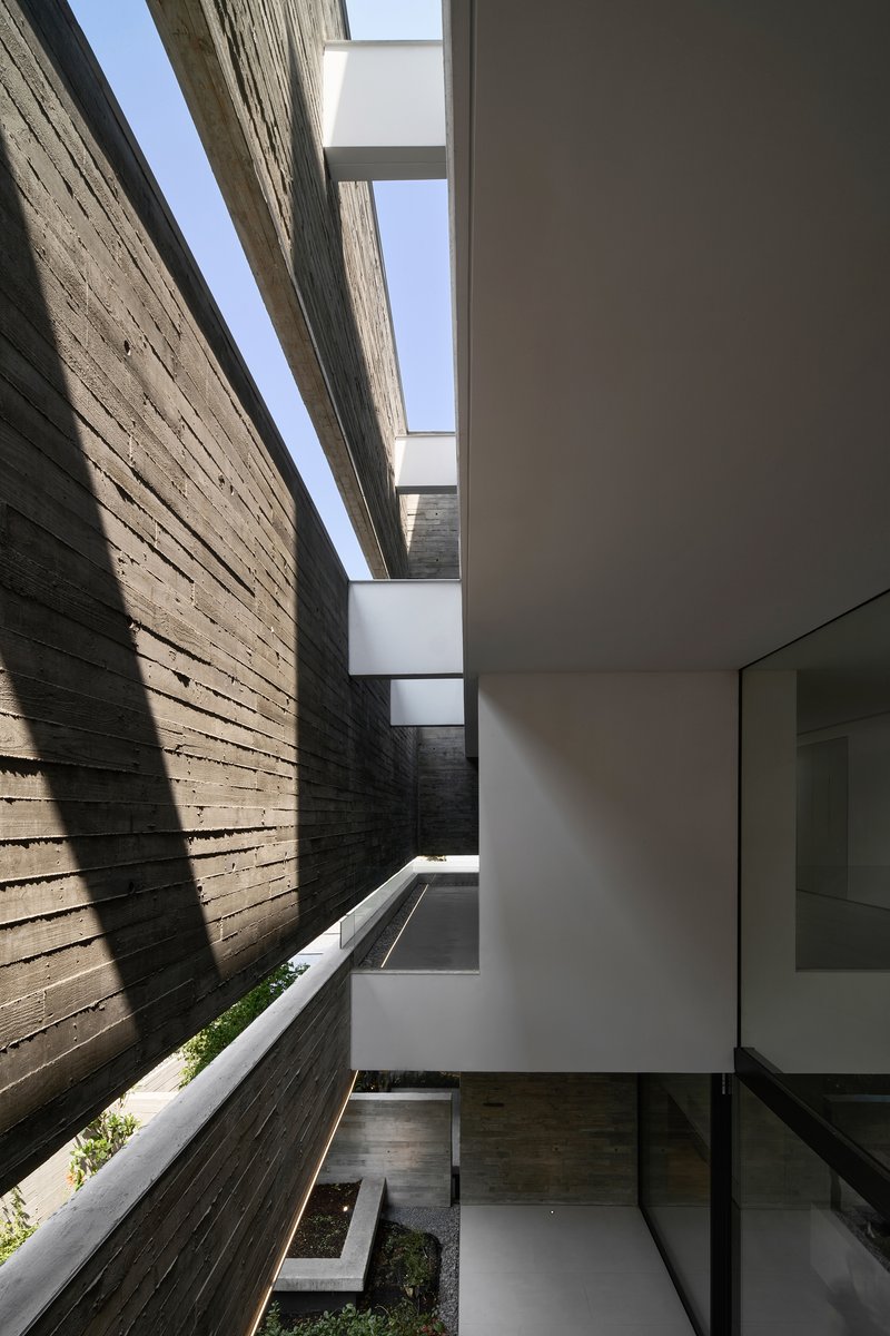 Narrow courtyard with board-formed concrete walls and planted beds under linear skylights