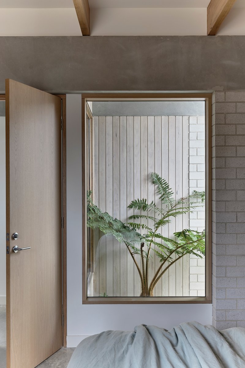 Bedroom window framing a potted fern against vertical timber slats and concrete block wall