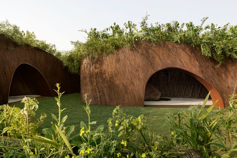 Arched openings in the earthen wall with planted roofline and wildflowers in the foreground