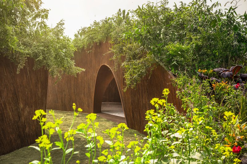 Arched timber wall opening framed by overhanging trees and yellow flowering plants in afternoon light