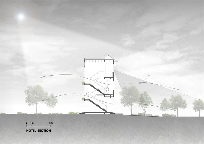 Section drawing revealing interior staircases connecting multiple levels within a terraced volume surrounded by trees