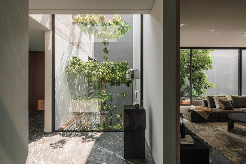 Interior courtyard with a single tree and dark marble flooring illuminated by filtered daylight