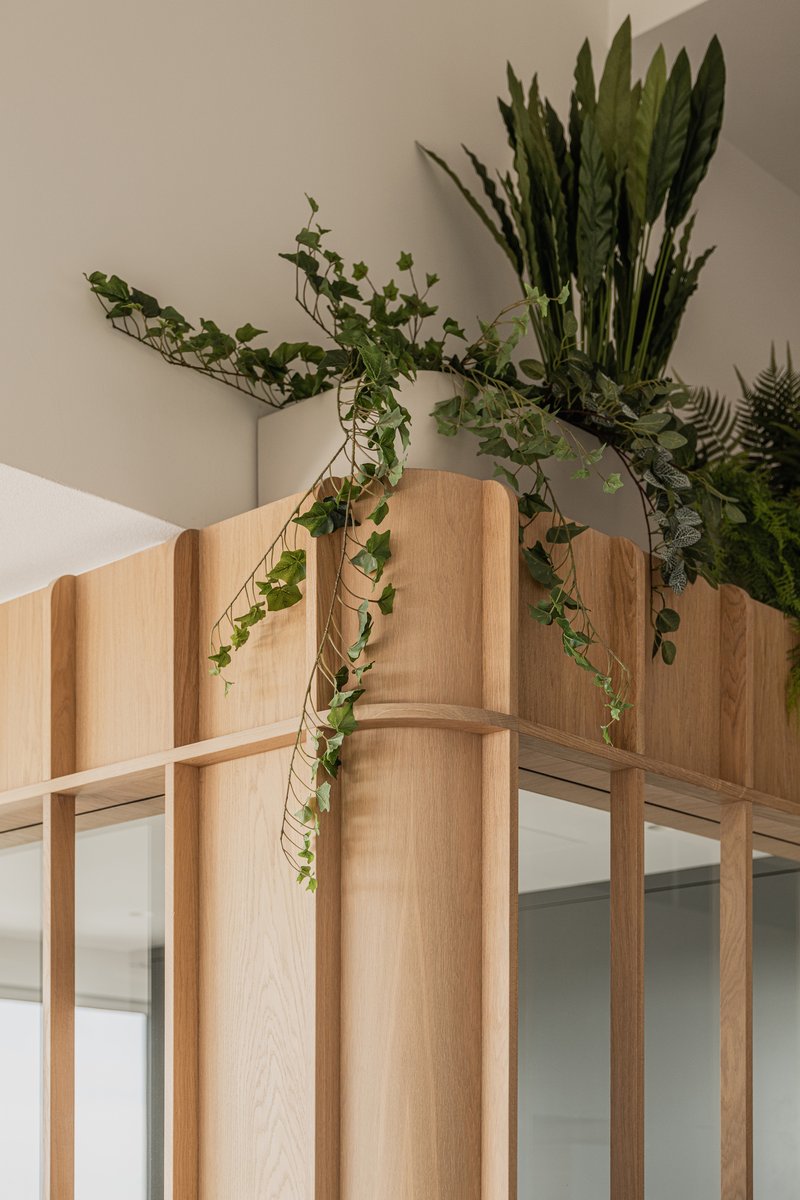 Detail of timber partition corner with trailing ivy and snake plants overhead