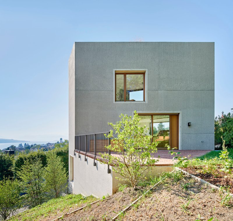 Rear elevation with timber balcony screen and young tree on sloped garden overlooking distant lake