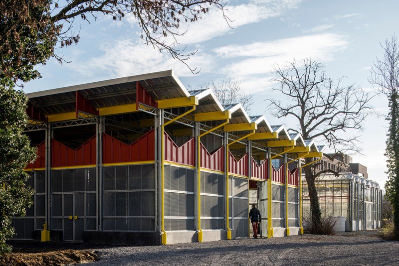 Side view of the sawtooth roof structure with bare winter trees and a person walking on the gravel path