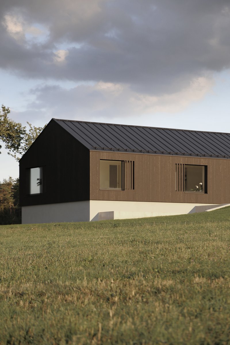 Corner facade showing black cladding, timber panels, and plaster base under cloudy skies