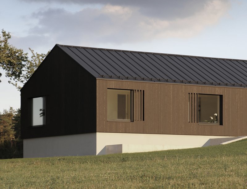 Gable-roofed volume with black metal cladding, timber panels, and white stucco base on a grassy slope