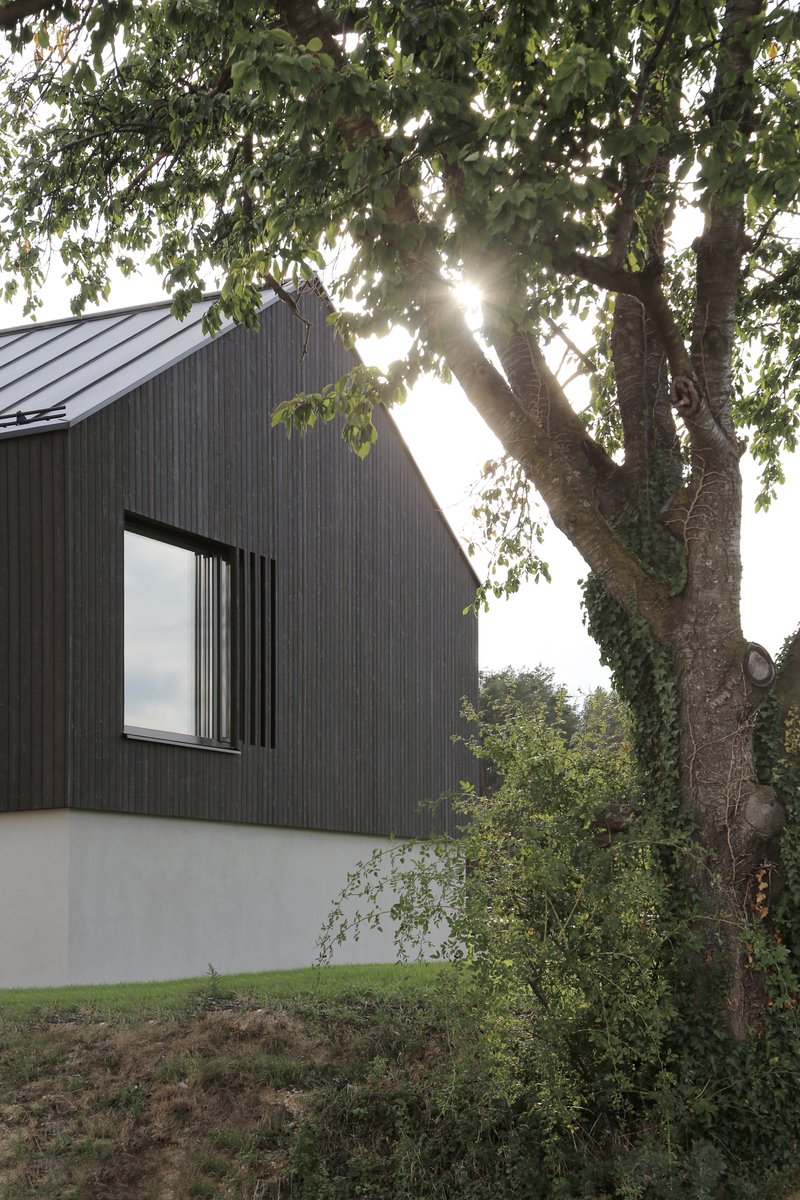 Black timber-clad gable end with a single window beneath an ivy-covered tree at sunset