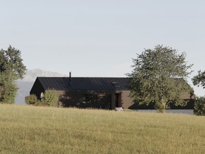Two Austrian Studios Build a Dark Timber House Named After a Decades-Old Cherry Tree