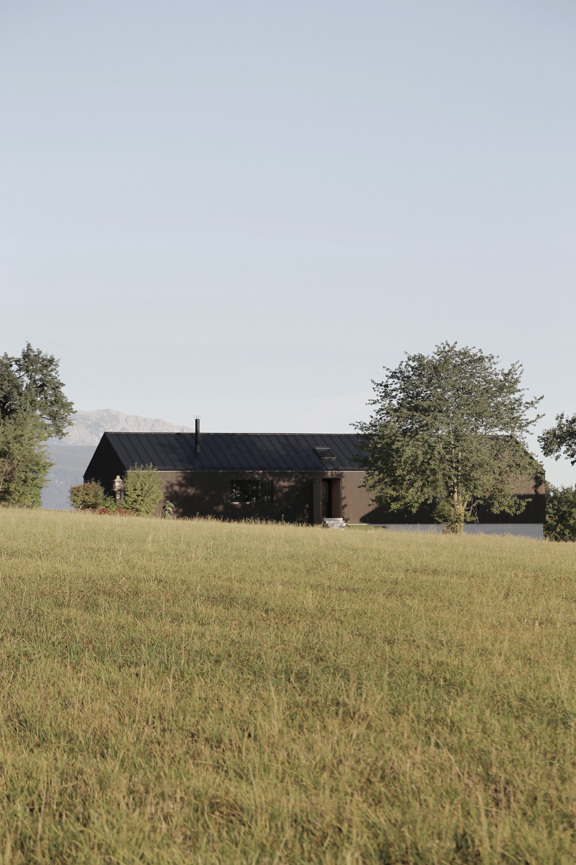 Two Austrian Studios Build a Dark Timber House Named After a Decades-Old Cherry Tree