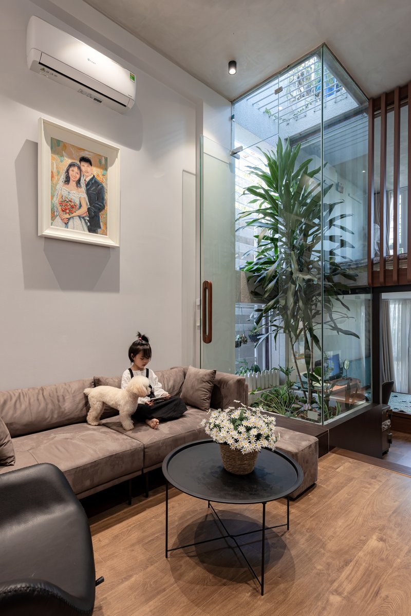 Living room with tall glazed wall opening to an interior planted courtyard and timber ceiling above
