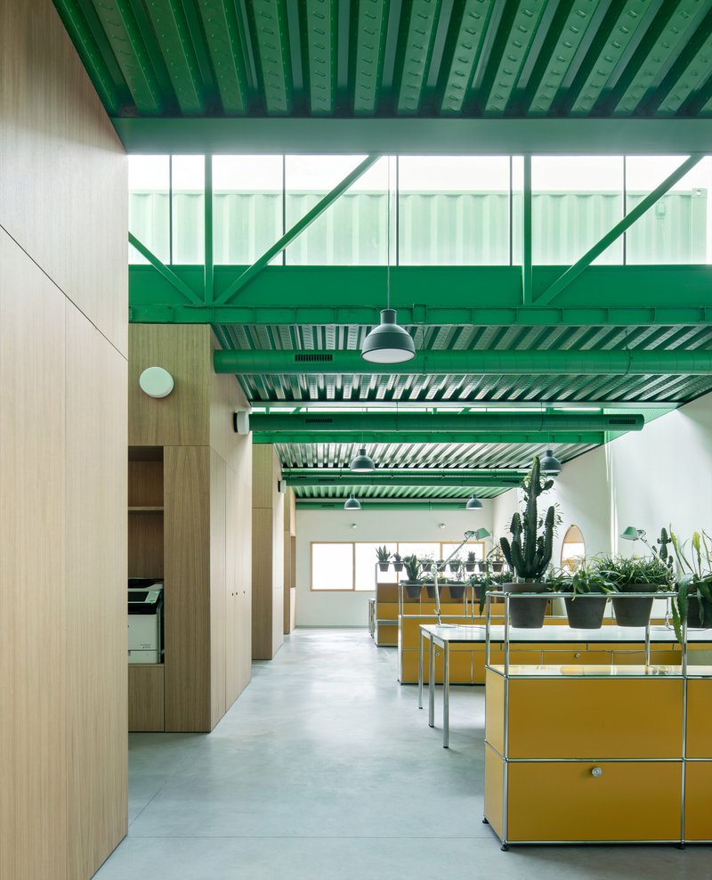 Interior view through workspace showing green exposed steel structure and yellow modular furniture with potted cacti