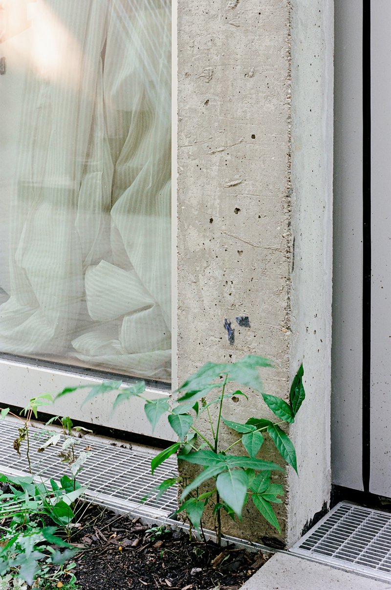 Concrete wall edge with planted bed at the base and sheer curtain visible through glazing