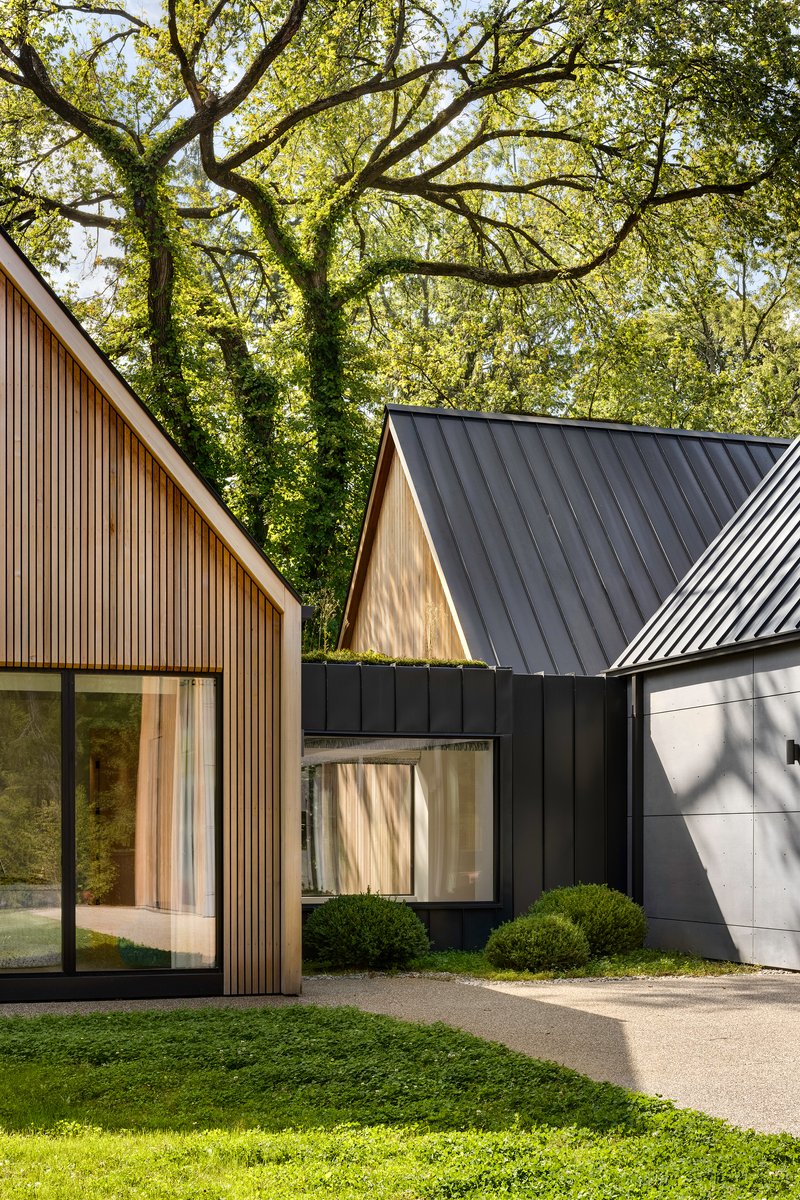 Junction of three gabled forms with contrasting cladding materials under a spreading oak tree