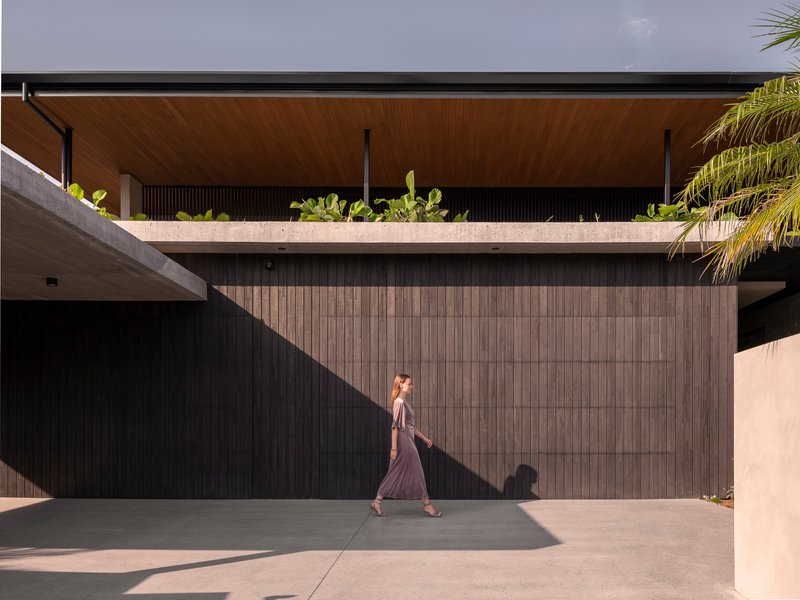 Person walking along the entry driveway with vertical timber cladding and planted concrete balcony above