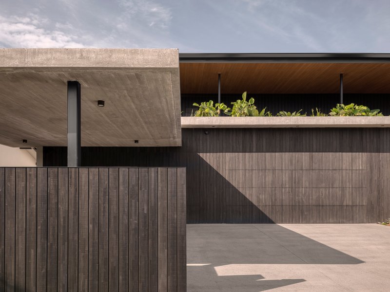 Cantilever concrete volume and timber-clad wall with planted upper terrace under overcast sky