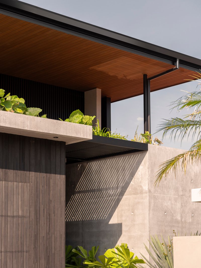 Cantilevered timber soffit supported by black steel columns with diagonal slatted screen below