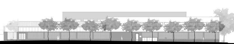 Elevation drawing showing horizontal canopy structure with row of trees planted along the facade