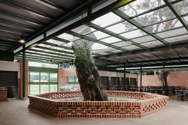 Interior courtyard with hexagonal brick planter encircling preserved tree trunk under steel canopy